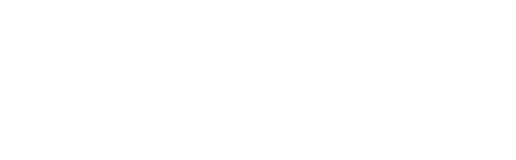 Logo Kolb weiss